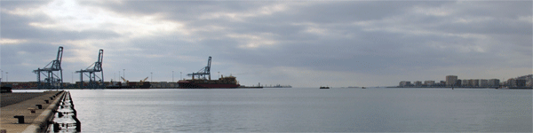 Imagen del contenido web