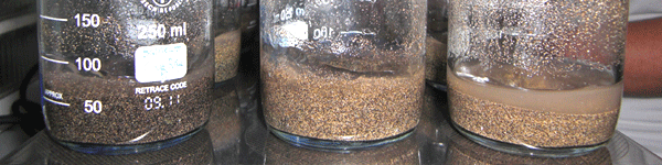 Imagen del contenido web